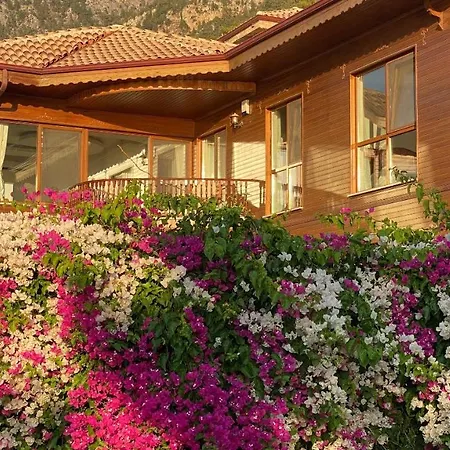 Brombeere Faralya Holiday home *