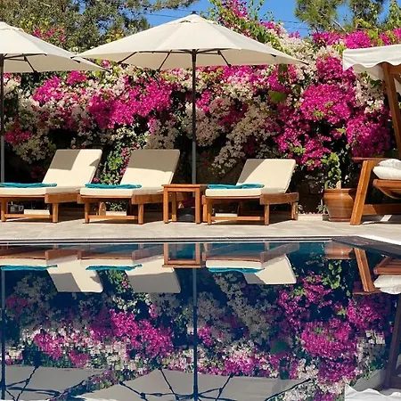 Holiday home Brombeere Faralya Fethiye