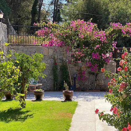 Brombeere Faralya Fethiye